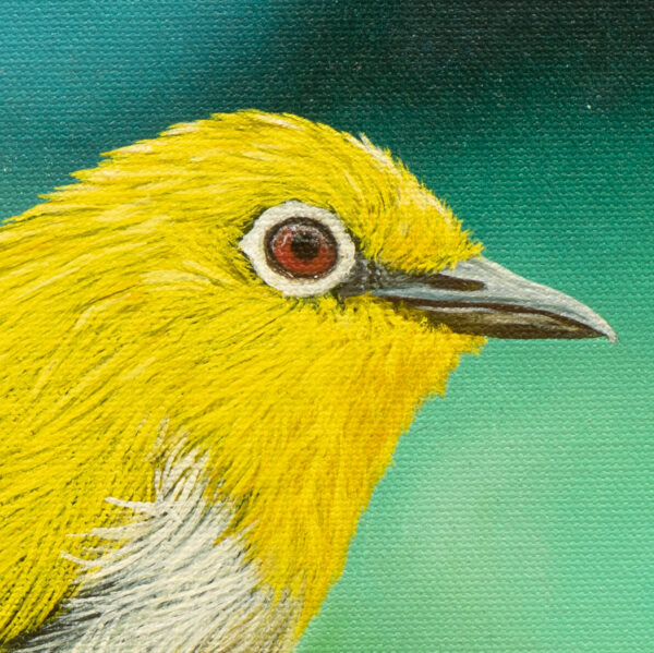 Oriental White-Eye Oil Painting On Stretched Canvas 30cm x 30cm - Image 2